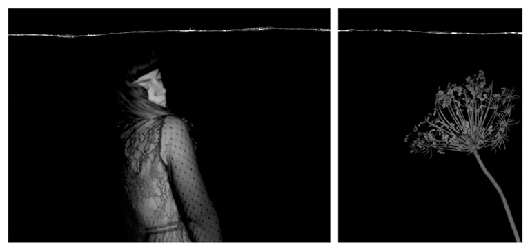 Ilaria Feoli, Similitudine, 2019, stampa ai sali dargento, 24x30 cm e 30x40 cm (opera unica)